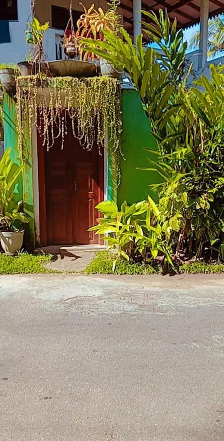 Hotel Shady Edge Unawatuna Exteriér fotografie